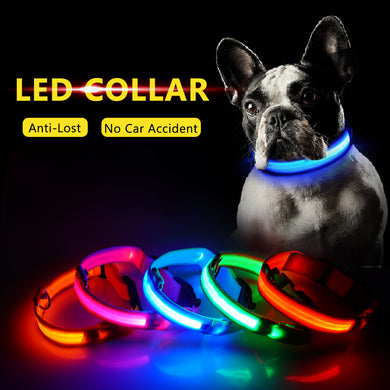 USB Charging Led Dog Collar Anti-Lost/Avoid Car Accident Collar For Dogs Puppies Dog Collars Leads LED Supplies Pet Products - FreebiesAndGiveAways
